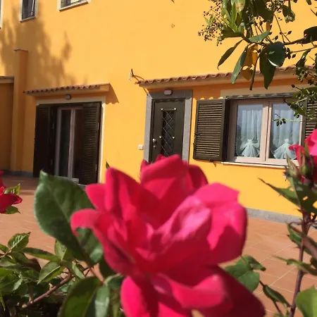 La Villetta Apartments Castel Gandolfo Exterior photo